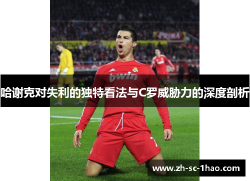哈谢克对失利的独特看法与C罗威胁力的深度剖析 哈谢克对失利的独特看法与C罗威胁力的深度剖析
