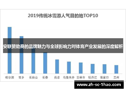 安联赞助商的品牌魅力与全球影响力对体育产业发展的深度解析 安联赞助商的品牌魅力与全球影响力对体育产业发展的深度解析