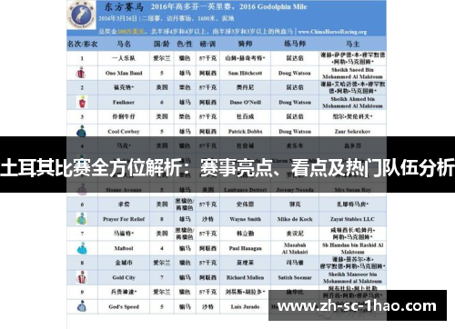 土耳其比赛全方位解析：赛事亮点、看点及热门队伍分析