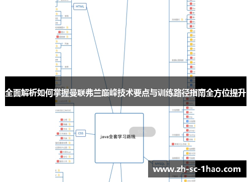 全面解析如何掌握曼联弗兰巅峰技术要点与训练路径指南全方位提升