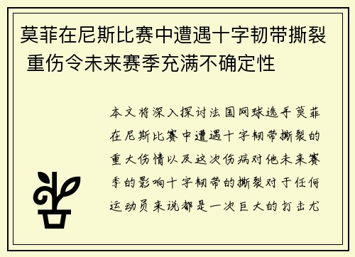 莫菲在尼斯比赛中遭遇十字韧带撕裂 重伤令未来赛季充满不确定性 莫菲在尼斯比赛中遭遇十字韧带撕裂 重伤令未来赛季充满不确定性